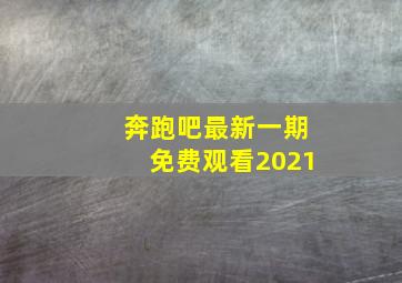 奔跑吧最新一期免费观看2021