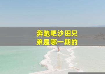 奔跑吧沙田兄弟是哪一期的