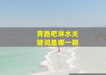 奔跑吧淋水关键词是哪一期