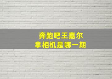 奔跑吧王嘉尔拿相机是哪一期