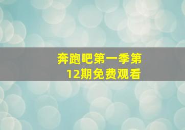 奔跑吧第一季第12期免费观看