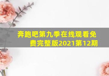 奔跑吧第九季在线观看免费完整版2021第12期