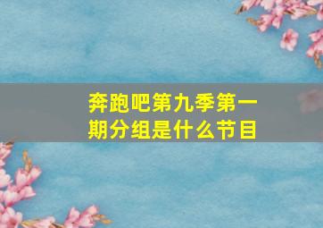 奔跑吧第九季第一期分组是什么节目