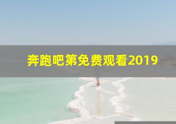 奔跑吧第免费观看2019