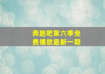 奔跑吧第六季免费播放最新一期