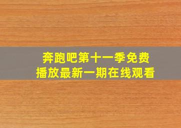 奔跑吧第十一季免费播放最新一期在线观看