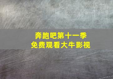 奔跑吧第十一季免费观看大牛影视