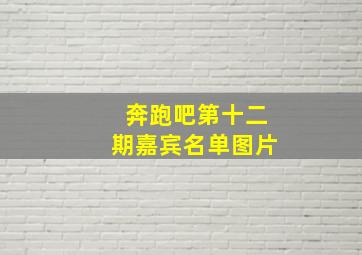 奔跑吧第十二期嘉宾名单图片