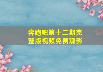 奔跑吧第十二期完整版视频免费观影