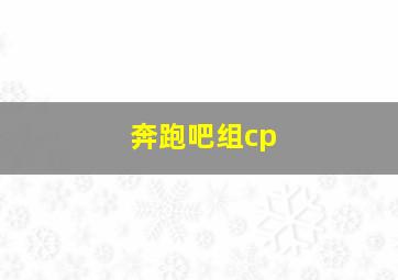 奔跑吧组cp