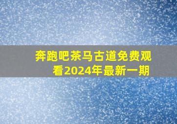 奔跑吧茶马古道免费观看2024年最新一期