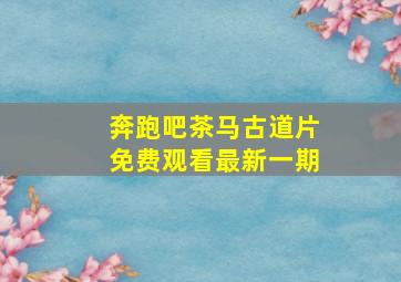 奔跑吧茶马古道片免费观看最新一期