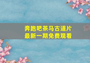 奔跑吧茶马古道片最新一期免费观看