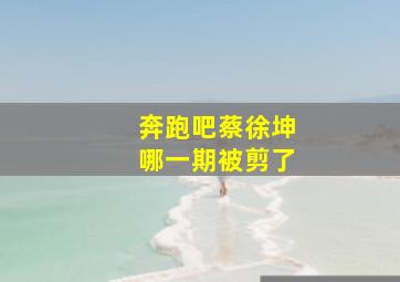 奔跑吧蔡徐坤哪一期被剪了