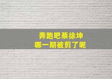 奔跑吧蔡徐坤哪一期被剪了呢