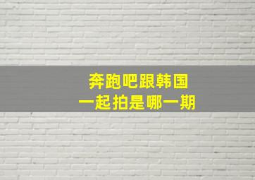 奔跑吧跟韩国一起拍是哪一期