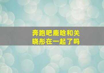 奔跑吧鹿晗和关晓彤在一起了吗