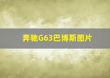 奔驰G63巴博斯图片