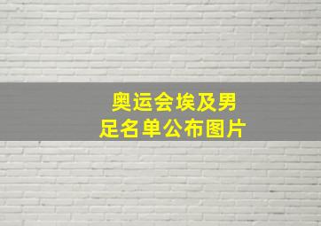 奥运会埃及男足名单公布图片