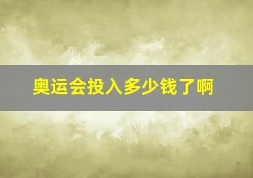 奥运会投入多少钱了啊