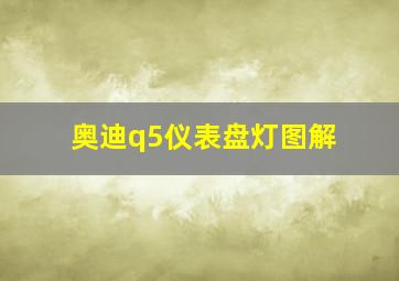 奥迪q5仪表盘灯图解