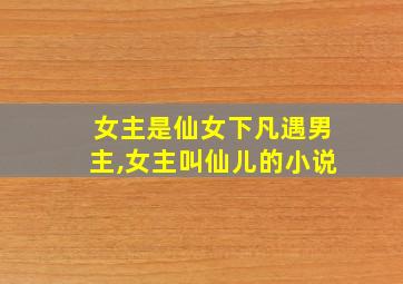 女主是仙女下凡遇男主,女主叫仙儿的小说