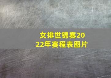 女排世锦赛2022年赛程表图片