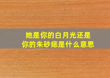 她是你的白月光还是你的朱砂痣是什么意思