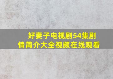 好妻子电视剧54集剧情简介大全视频在线观看