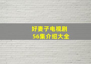 好妻子电视剧56集介绍大全