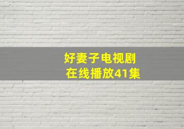 好妻子电视剧在线播放41集