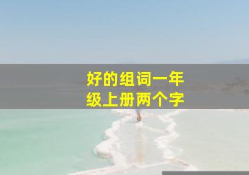 好的组词一年级上册两个字