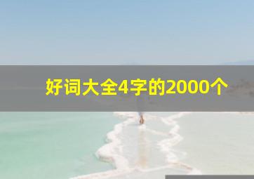 好词大全4字的2000个