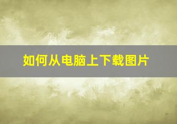 如何从电脑上下载图片