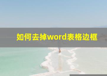 如何去掉word表格边框