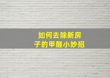 如何去除新房子的甲醛小妙招