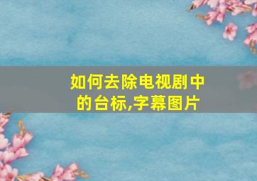 如何去除电视剧中的台标,字幕图片