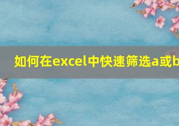 如何在excel中快速筛选a或b