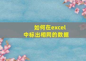 如何在excel中标出相同的数据