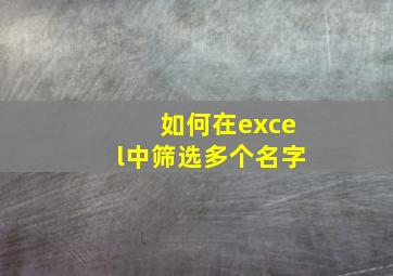 如何在excel中筛选多个名字