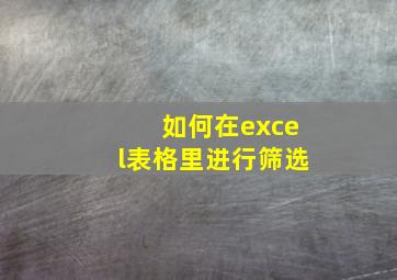 如何在excel表格里进行筛选