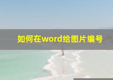 如何在word给图片编号