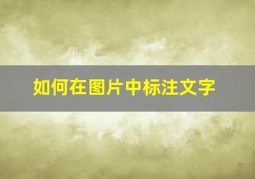 如何在图片中标注文字