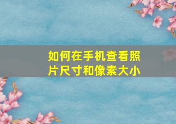 如何在手机查看照片尺寸和像素大小