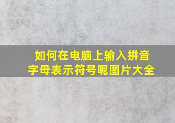 如何在电脑上输入拼音字母表示符号呢图片大全