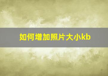 如何增加照片大小kb