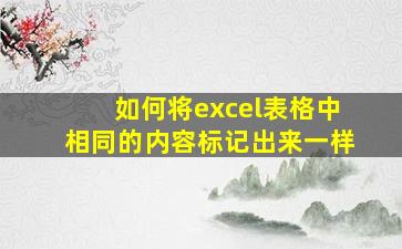 如何将excel表格中相同的内容标记出来一样