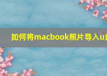 如何将macbook照片导入u盘