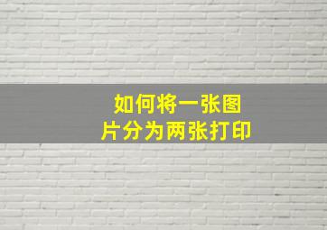 如何将一张图片分为两张打印