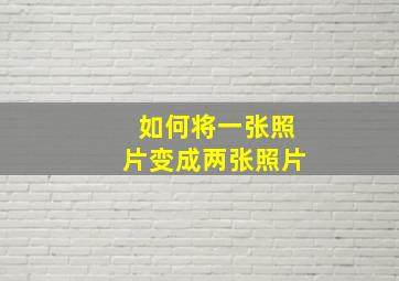 如何将一张照片变成两张照片